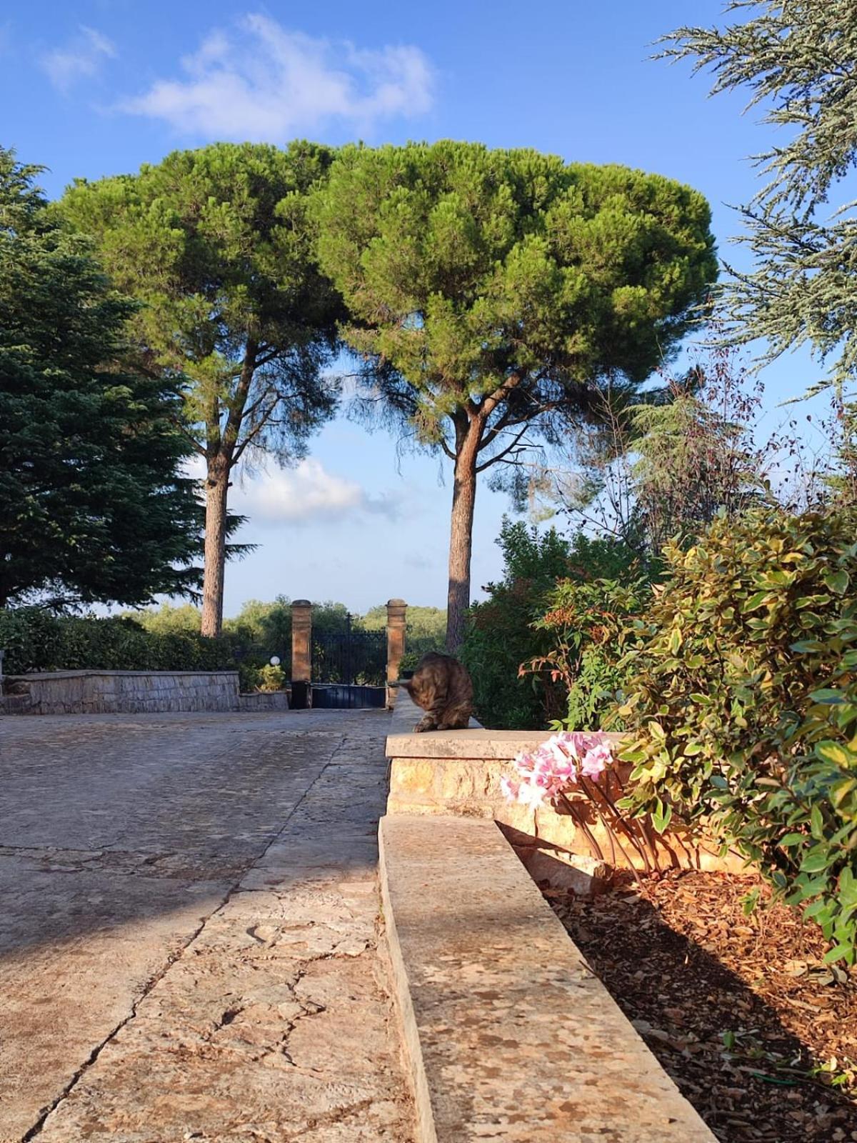 Villa Ostuni Monopoli Zewnętrze zdjęcie